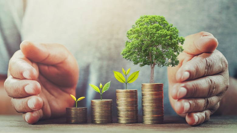 How Green Is Your Investment? Moral Investments Explained